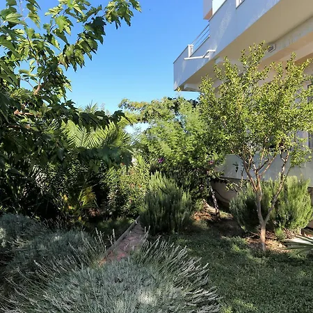 Studio Zecevo Rtic 10400a Rogoznica (Sibenik-Knin)